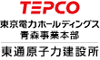 TEPCO